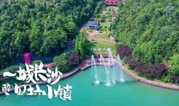 星星闪烁在线观看,探索神秘宇宙的视觉奇遇